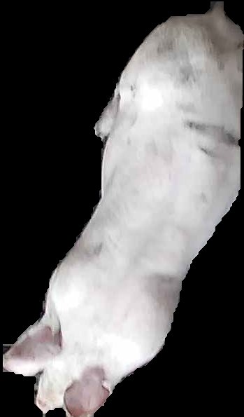 Crop