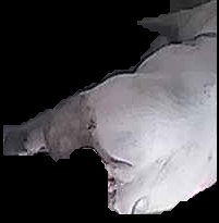 Crop
