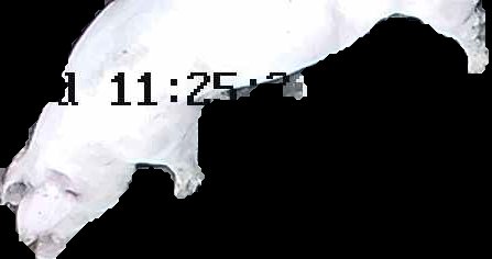 Crop