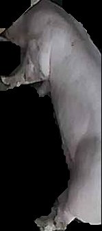 Crop