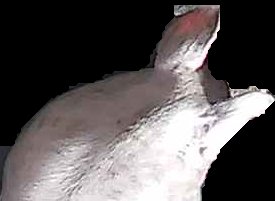 Crop