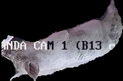 Crop