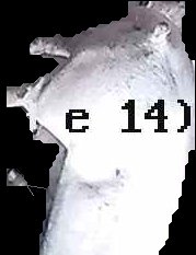 Crop