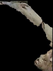 Crop