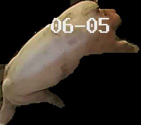Crop