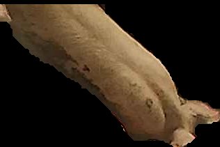 Crop