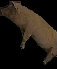 Crop