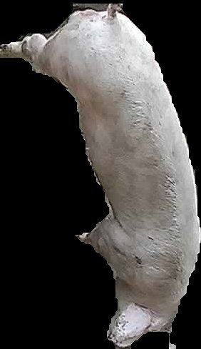 Crop