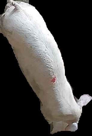 Crop