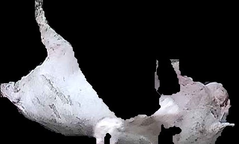 Crop