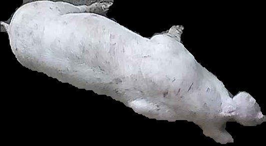 Crop