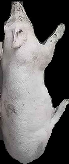 Crop