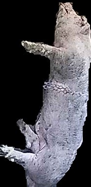 Crop