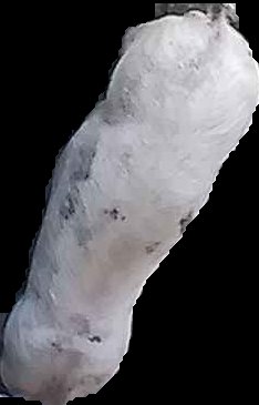 Crop