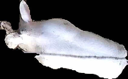 Crop