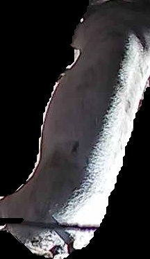 Crop