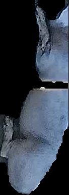 Crop