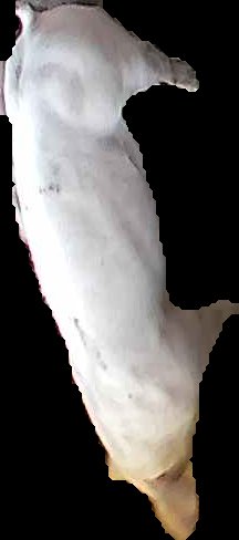 Crop