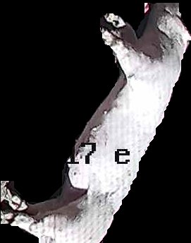 Crop