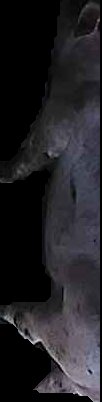 Crop