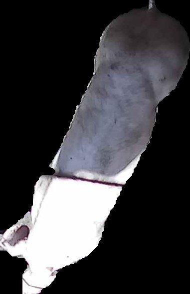 Crop