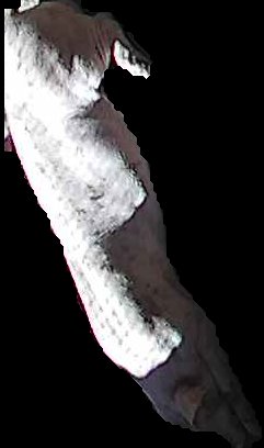 Crop
