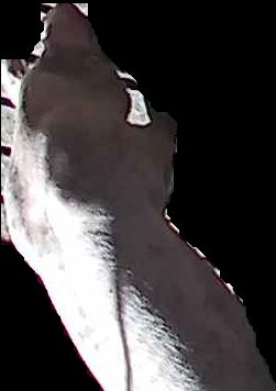 Crop