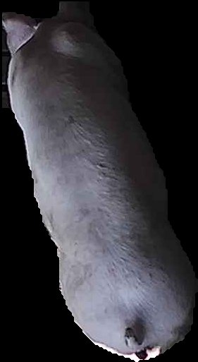 Crop