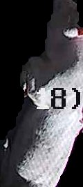 Crop