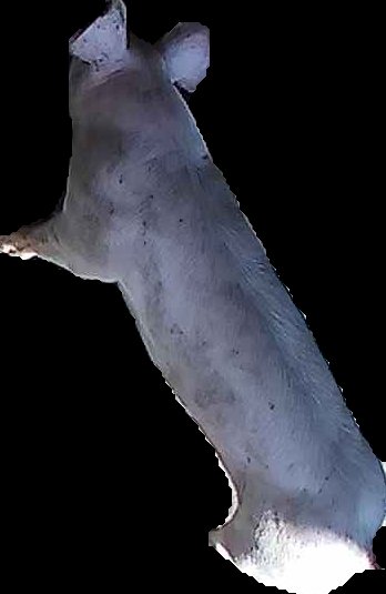 Crop