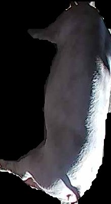 Crop