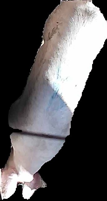 Crop
