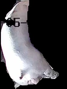 Crop