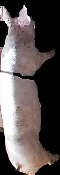 Crop