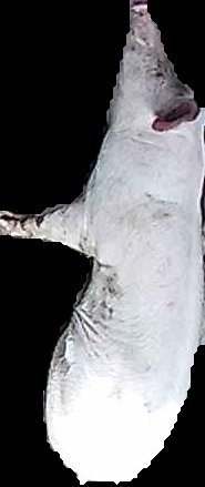Crop