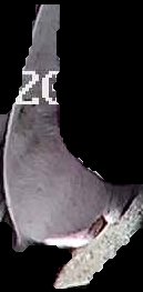 Crop