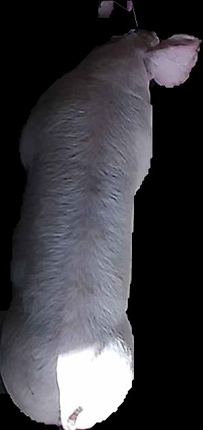 Crop