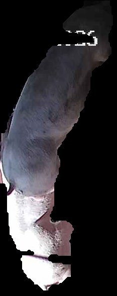 Crop