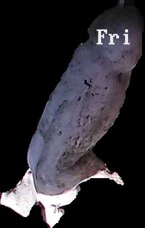 Crop