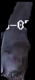 Crop