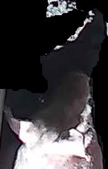 Crop