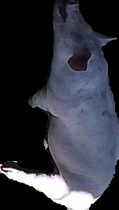 Crop