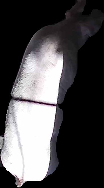 Crop