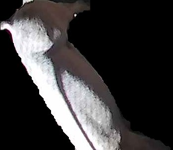 Crop