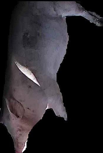 Crop