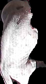 Crop
