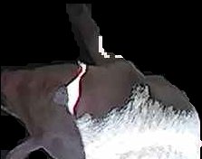 Crop