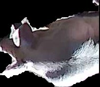 Crop