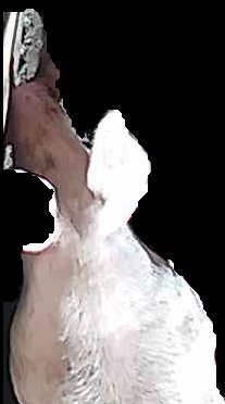 Crop