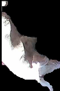Crop